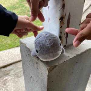 u1 whatsapp image 2025 11 04 at 11.09.22 am 1 2